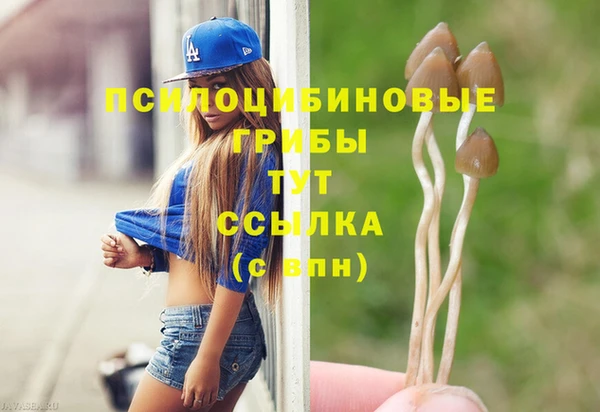 синтетический гашиш Балахна