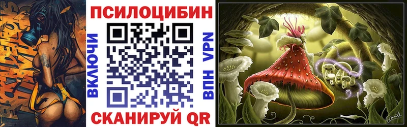 купить закладку  Бор  Галлюциногенные грибы Magic Shrooms 